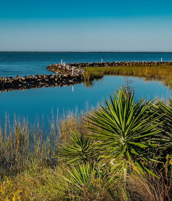 Explore Harkers Island - Find Things to Do on Harkers Island, NC