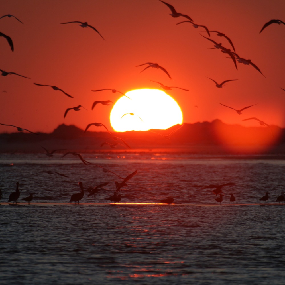 Sunset over Bear Island in Bogue Inlet on North Carolina's Crystal Coast