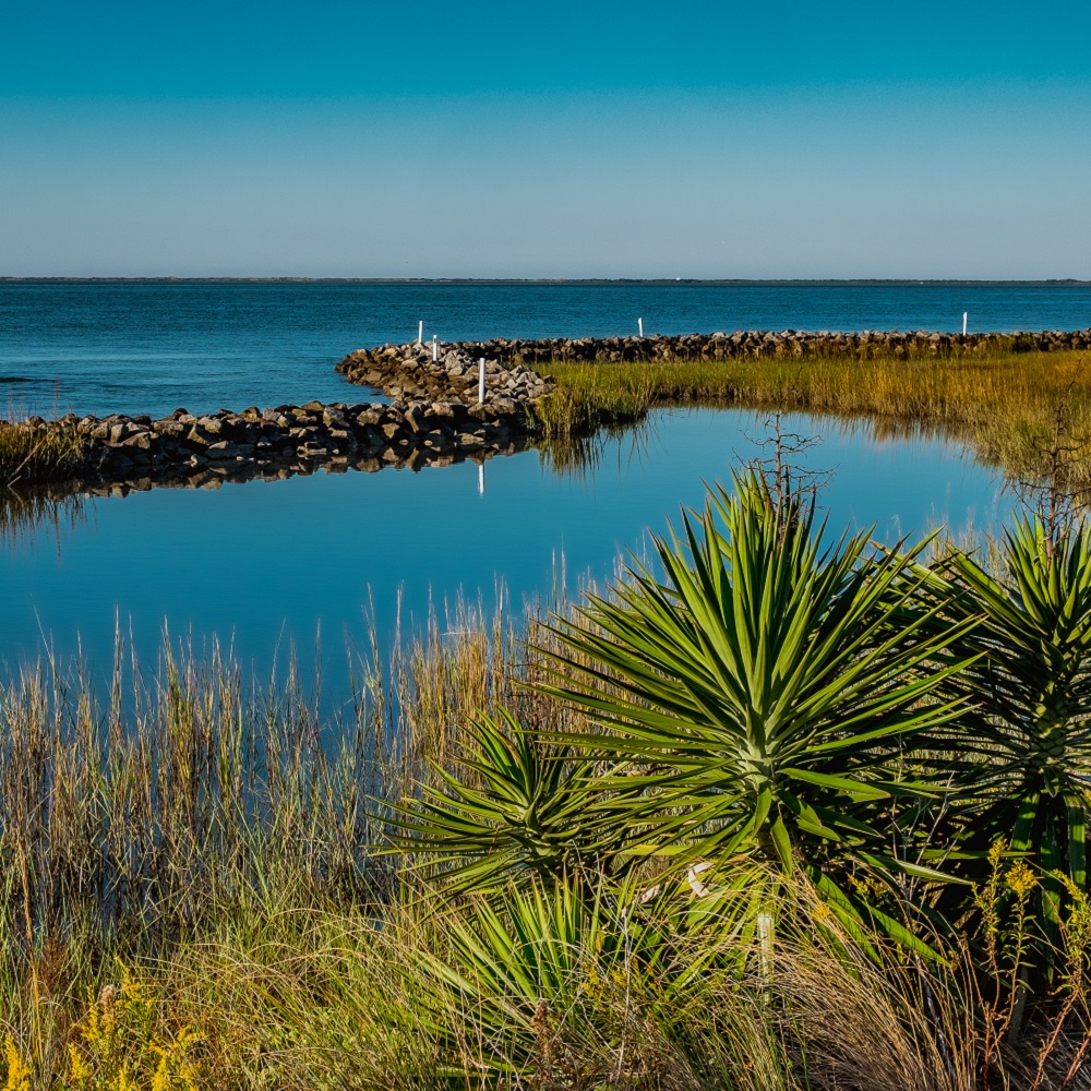 Lagoon in Harkers Island, NC