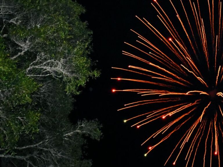 Western Carteret Fireworks Celebration Emerald Isle Realty