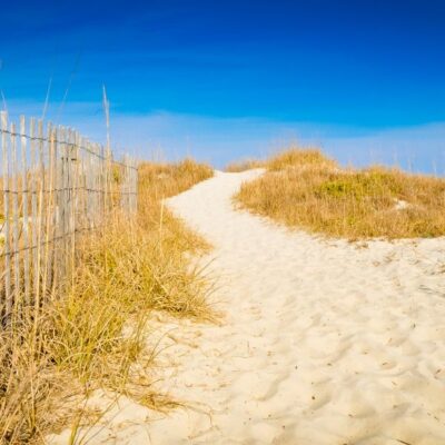 Explore the Beaches and Nature Trails at Fort Macon State Park