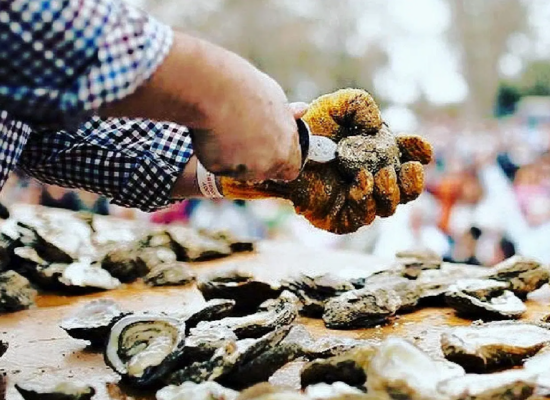 Beaufort Wine & Food's Oyster Roast