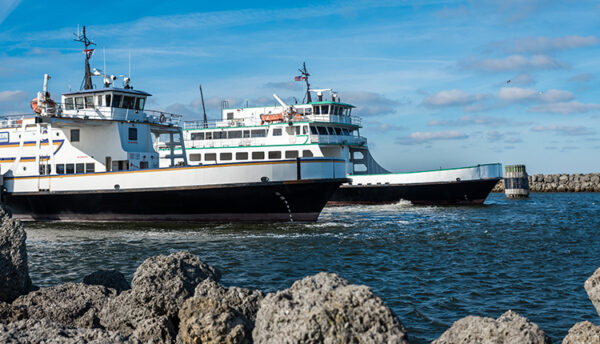 Ferries at Cedar Harbor