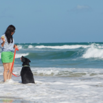 Traveling with Pets to Emerald Isle, NC: Essential Tips for Pet Owners