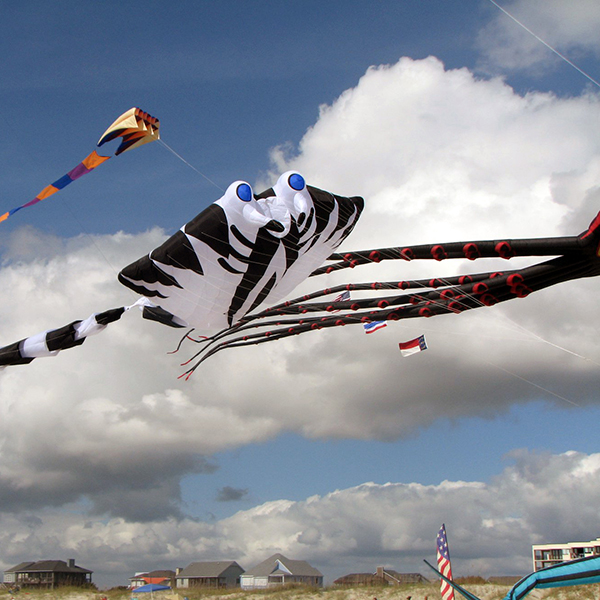 Carolina Kite Festival