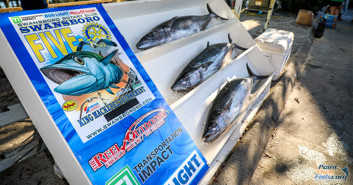 Swansboro Five-O King Mackerel Tournament