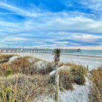 Best North Carolina Beach Towns to Visit this Winter