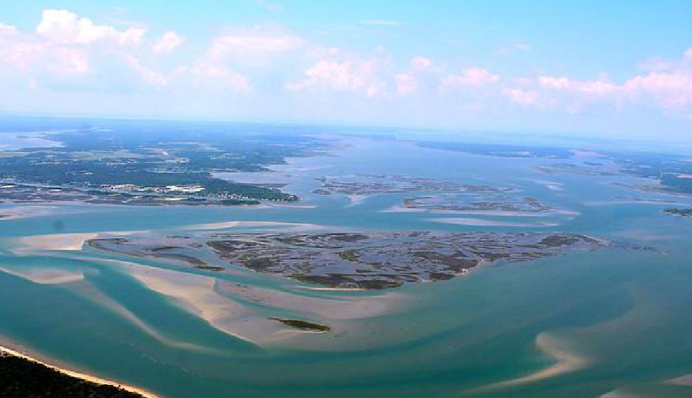 image of Rachel Carson Reserve