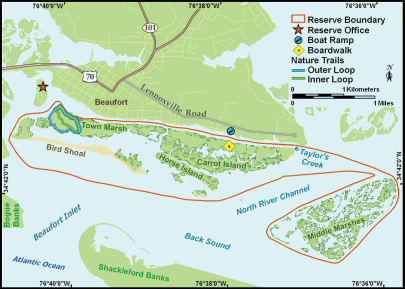 Explore the Rachel Carson Reserve - Nature Trails, Boardwalk & More